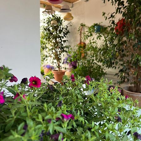 Suite Battisti 7 Lecce Exterior foto